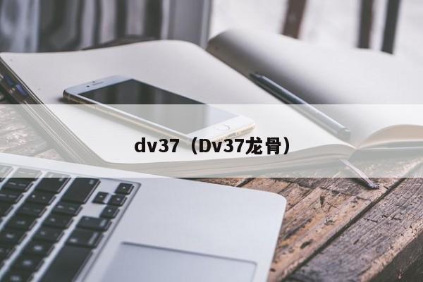 dv37（Dv37龙骨）